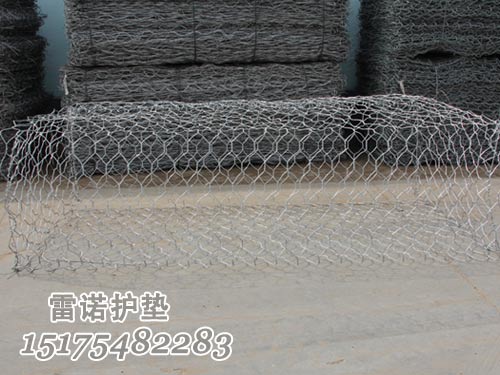 雷諾護墊