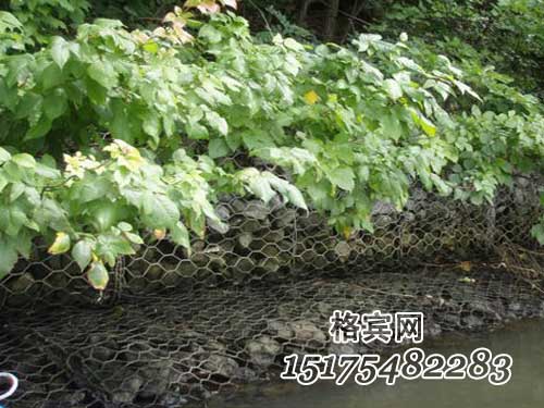 護坡賓格石籠
