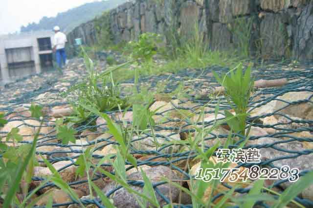 覆塑雷諾護墊