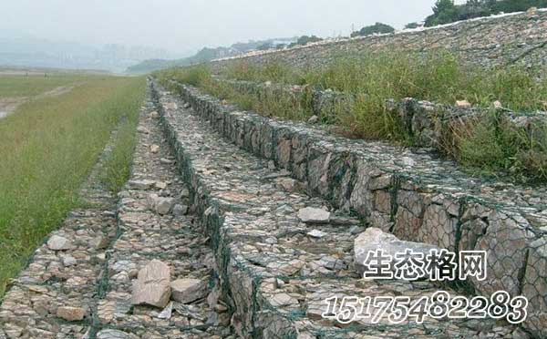 生態格網