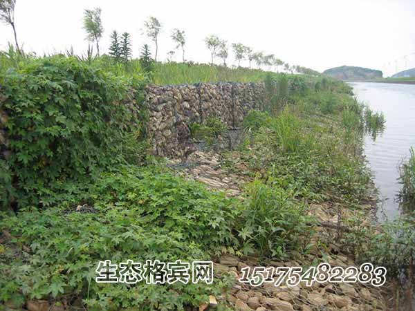 生態格賓網