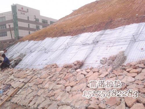 雷諾護墊