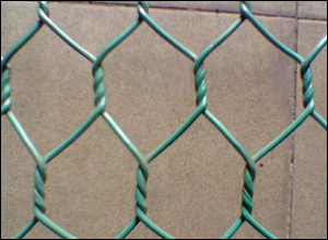 綠格網箱